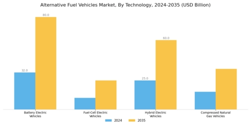 Alternative Fuel Vehicles Market Segment Image 0