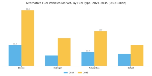 Alternative Fuel Vehicles Market Segment Image 2