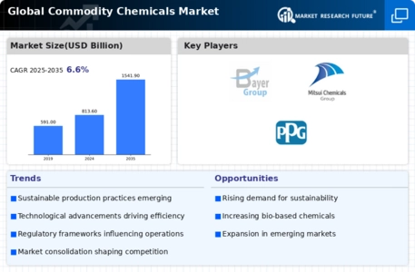 Commodity Chemicals Market Infographic