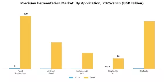Precision Fermentation Market Segment Image 0