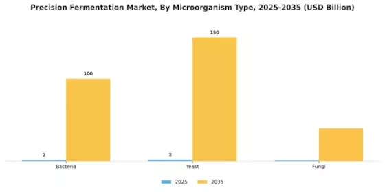 Precision Fermentation Market Segment Image 2
