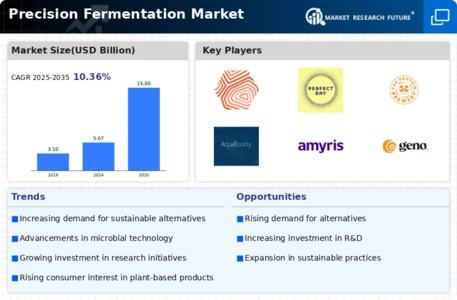 Precision Fermentation Market Infographic
