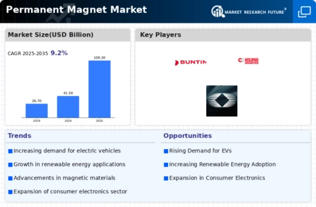 Permanent Magnet Market Infographic