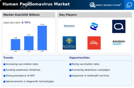 Human Papilloma Virus Market Infographic