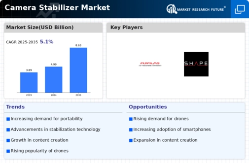 Camera Stabilizer Market Infographic
