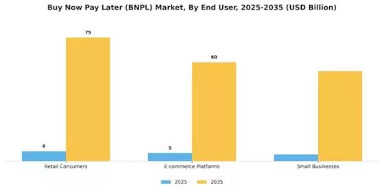 Buy Now Pay Later (BNPL) Market Segment Image 1