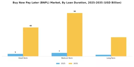 Buy Now Pay Later (BNPL) Market Segment Image 3