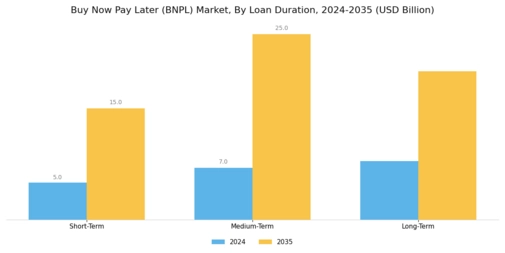 Buy Now Pay Later (BNPL) Market Segment Image 3