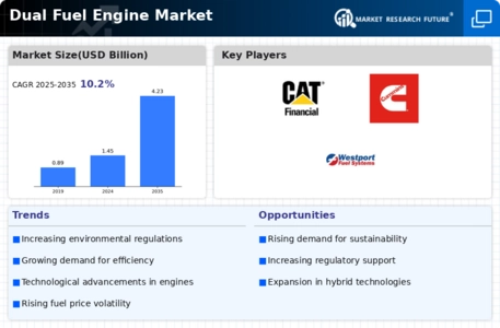 Dual Fuel Engine Market Infographic