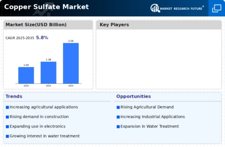 Copper Sulfate Market Infographic