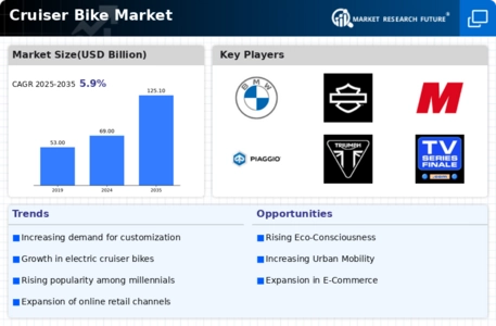 Cruzer Bike Market Infographic