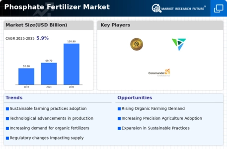 Phosphate Fertilizer Market Infographic