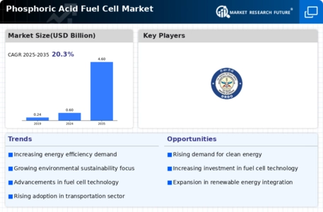 Phosphoric Acid Fuel Cell Market Infographic