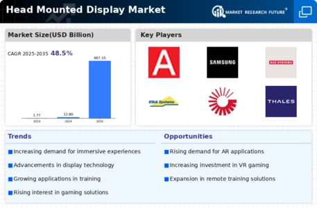 Head Mounted Display Market Infographic