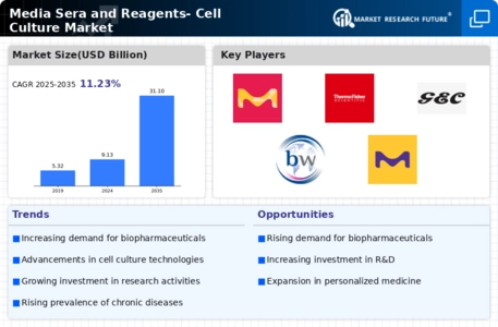 Media sera and Reagents- Cell culture Market Infographic