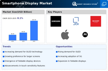 Smartphone Display Market Infographic