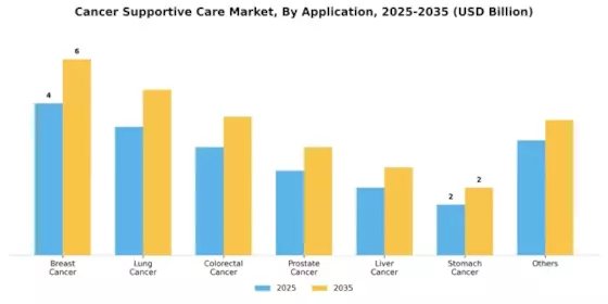 Cancer Supportive Care Market Segment Image 1