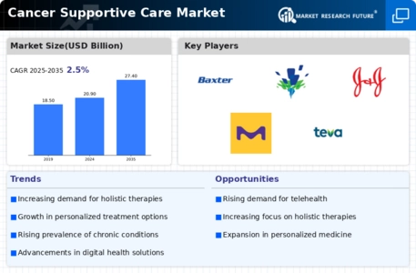 Cancer Supportive Care Market Infographic