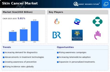 skin cancer Market Infographic