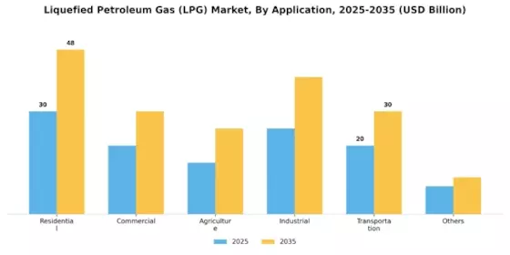 Liquefied Petroleum Gas LPG Market Segment Image 1