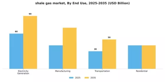Shale Gas Market Segment Image 1