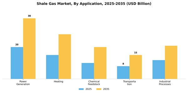 Shale Gas Market Segment Image 0