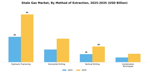 Shale Gas Market Segment Image 2
