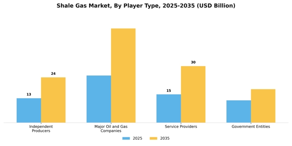 Shale Gas Market Segment Image 3