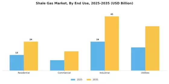 Shale Gas Market Segment Image 1