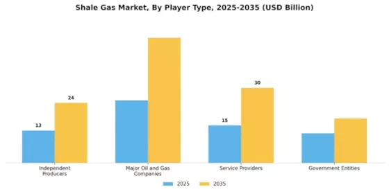 Shale Gas Market Segment Image 3