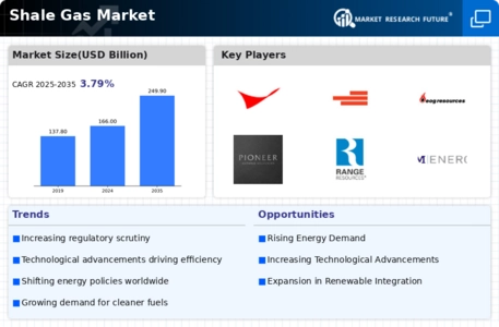 Shale Gas Market Infographic