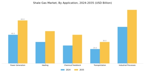Shale Gas Market Segment Image 0