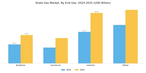 Shale Gas Market Segment Image 1