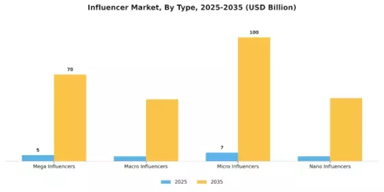 Influencer Market Segment Image 0