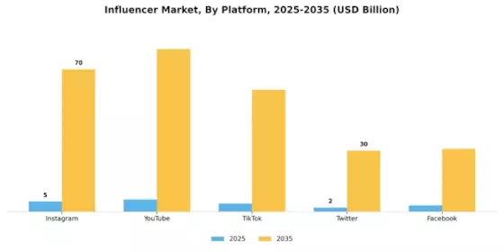 Influencer Market Segment Image 1