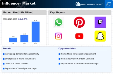 Influencer Market Infographic