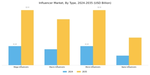 Influencer Market Segment Image 0
