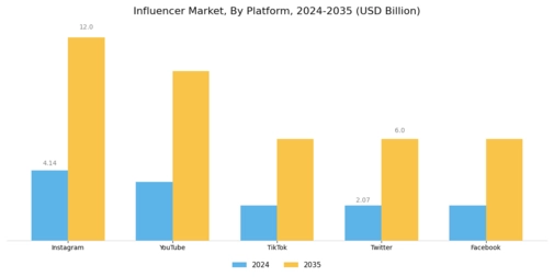 Influencer Market Segment Image 1