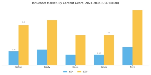Influencer Market Segment Image 2