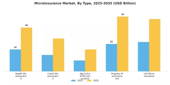 Microinsurance Market Segment Image 0