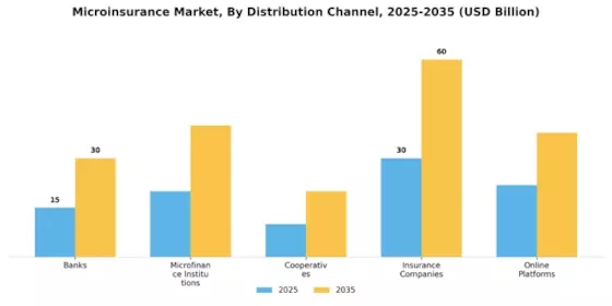 Microinsurance Market Segment Image 1