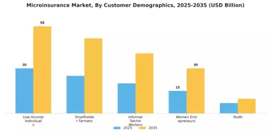 Microinsurance Market Segment Image 2