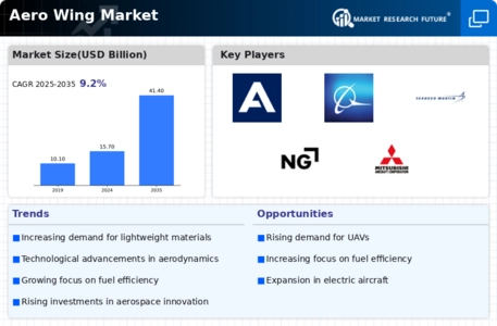 Aero Wing Market Infographic