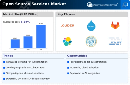 Open Source Services Market Infographic