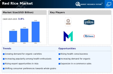 Red Rice Market Infographic