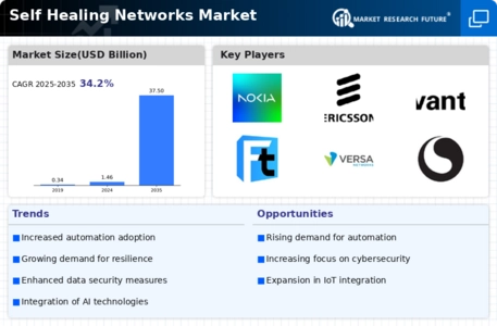 Self Healing Networks Market Infographic