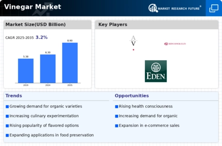 Vinegar Market Infographic