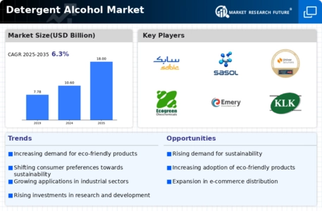 Detergent Alcohol Market Infographic