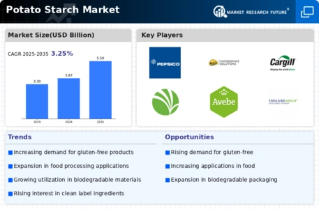 Potato Starch Market Infographic