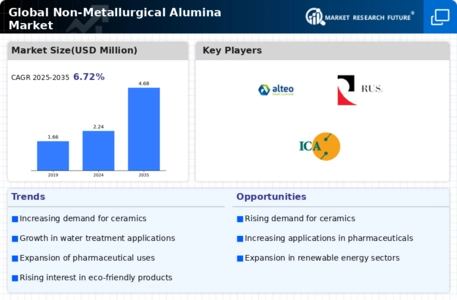Non Metallurgical Alumina Market Infographic
